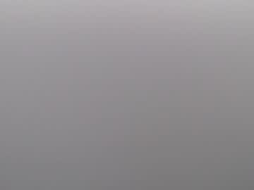 natural_form cam