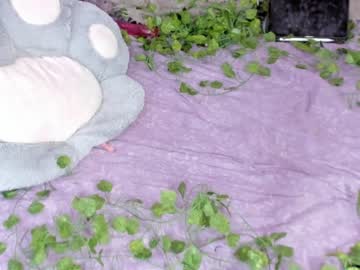 cam girl _servuss_ image #3155355