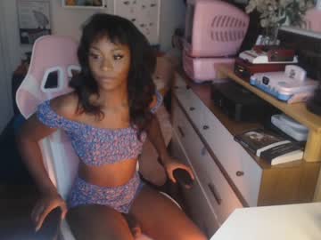 cam tranny vanniall image #619233
