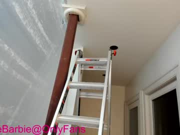 cam girl rvlifebarbie image #3382816