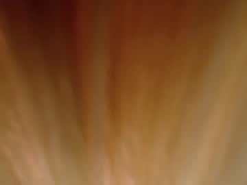 cam girl a_luscious_faith image #1499629