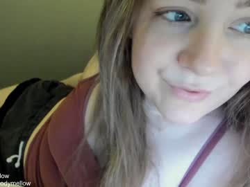 cam girl in_tune image #3452088