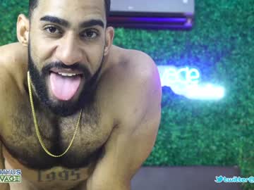 cam man querhyus image #3476354