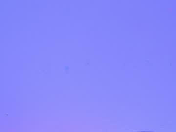 cam girl shycinderella image #1188709