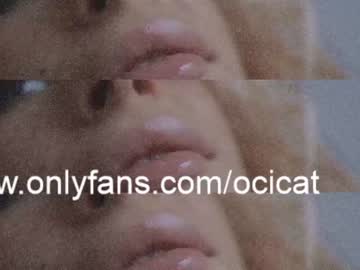 cam girl ocicat image #3612802