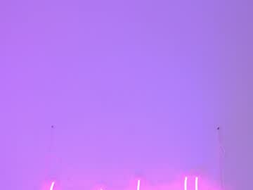 cam girl shycinderella image #1210207