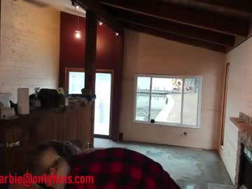 cam girl rvlifebarbie image #3332335