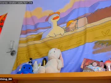 cam girl littlething88 image #1827999