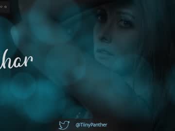 cam girl tiny_panther image #1524379
