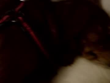 cam girl bambis_honeypot image #931296