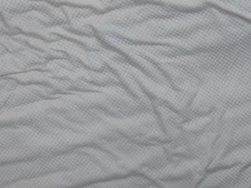 cam girl shycinderella image #1589780