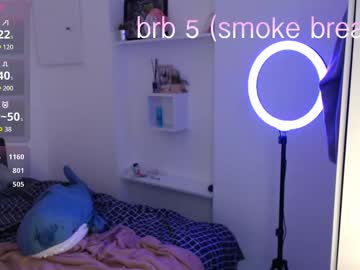 vvvi_06 cam