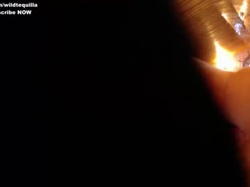 cam girl wildtequilla image #390403
