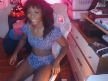 cam tranny vanniall image #619188