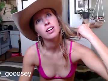 cam girl lucy_gooosey image #3883313
