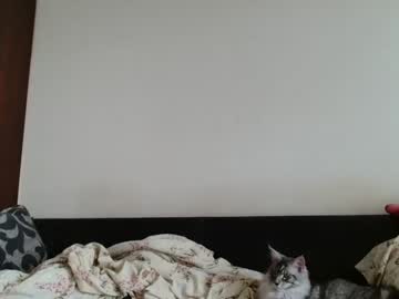 stella_9 cam