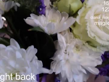 cam girl magic_elf image #2376410
