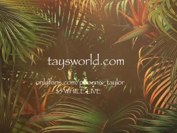 cam girl phoenix_taylor image #2981931
