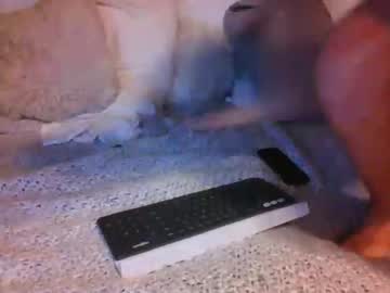 cam man azguy0505 image #630360