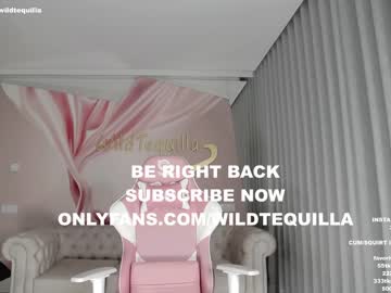 cam girl wildtequilla image #2994720