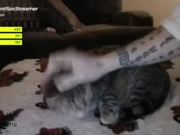 cam man antisocialstreamer image #3220350