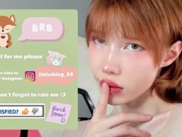 cam girl littlething88 image #378057