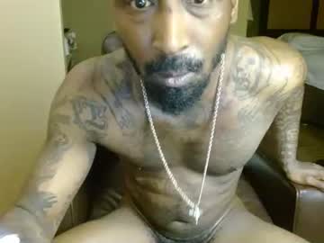 11hundsum cam
