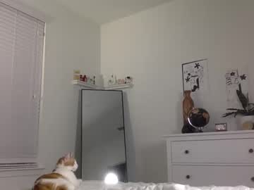 cam girl angel_eve_xx image #1776999