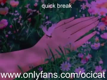 cam girl ocicat image #2279274