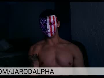 cam man jarodalpha image #2662026