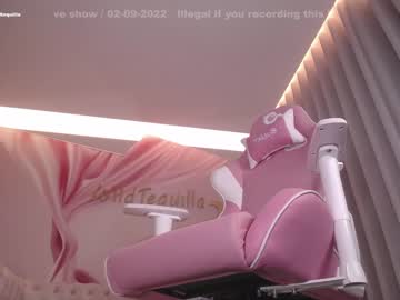 cam girl wildtequilla image #2558482