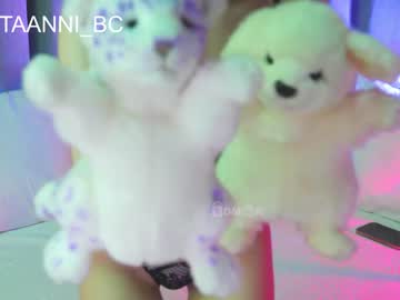 cam girl taanni_bc image #2847188