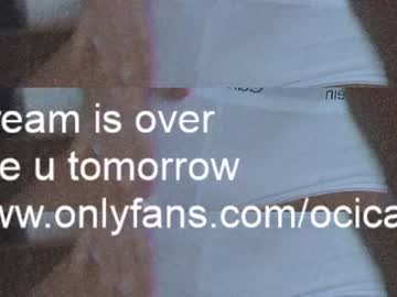 cam girl ocicat image #3390898