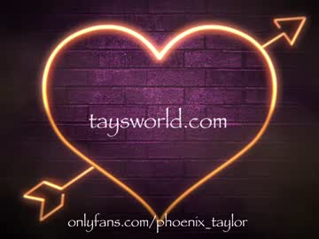 cam girl phoenix_taylor image #3541474