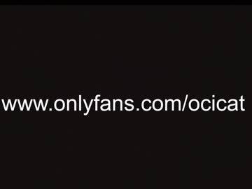cam girl ocicat image #3656047
