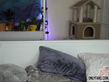 cam girl vivid_whit image #742018