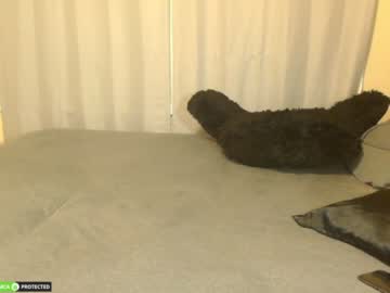 cam girl pursueme_ image #1172805