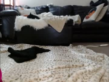 cam girl shastathecat image #3557250