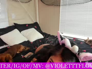 cam girl violetttflowers image #2842760