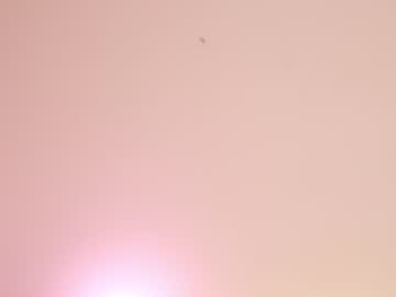 cam girl sae__ image #3436542