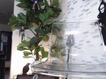 cam girl marrylouanne image #360828