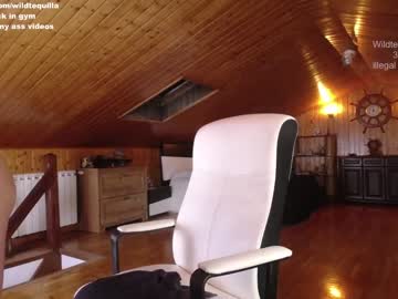 cam girl wildtequilla image #1436505