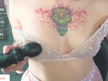 linpie cam