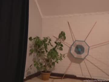 cam man waynenorth image #1709281