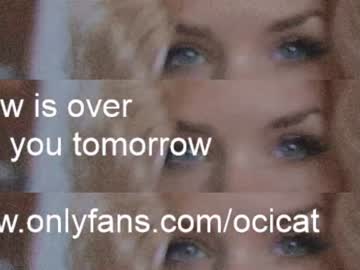 cam girl ocicat image #3591628