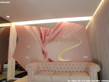 cam girl wildtequilla image #2744058