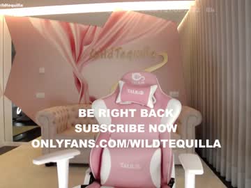 cam girl wildtequilla image #2692977