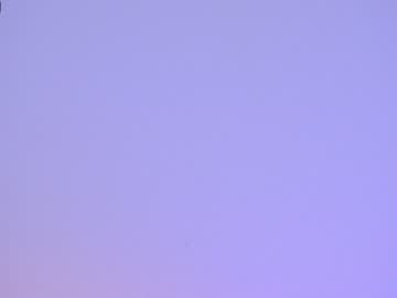 cam girl shycinderella image #479444