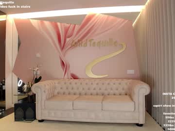 cam girl wildtequilla image #3832771