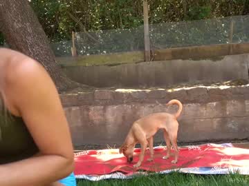 cam girl phoenix_taylor image #2033514